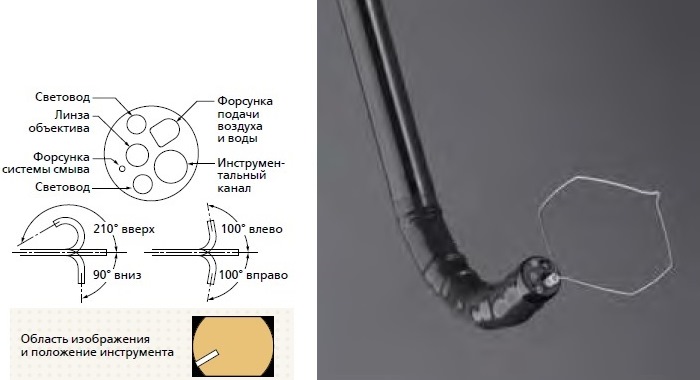 Каналы эндоскопа. Дистальный колпачок для эндоскопа. Диаметр эндоскопа. Строение эндоскопа. Строение гибкого эндоскопа.